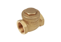 Náhled obrázku: Giacomini N5 Zpětná klapka - gumové těsnění 