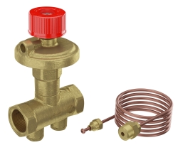 Náhled obrázku: Giacomini R206C-1 Automatický regulátor diferenčního tlaku 