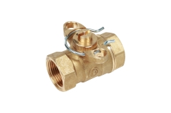 Náhled obrázku: Giacomini R276 Kulový kohout pro elektrický pohon K270, K272, vnitřní závity 