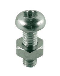 Náhled obrázku: GIACOMINI R454D Šroub pro objímky R455C M4x12 